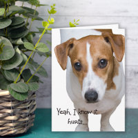 Ça Fait Mal À La Triste Encouragement Du Chien