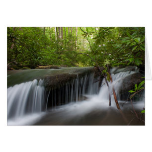 Carte cachée d'automnes