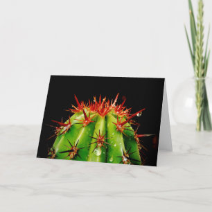 Carte Cactus