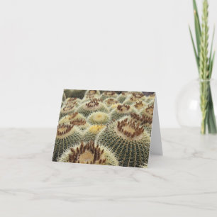 Carte cactus baril