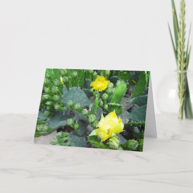 Carte Cactus Blooms Plein Bleu Blanc (Devant)