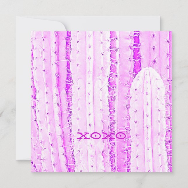 Carte Cactus Saguaro Rose XOXO Photo Art Amusant  (Devant)