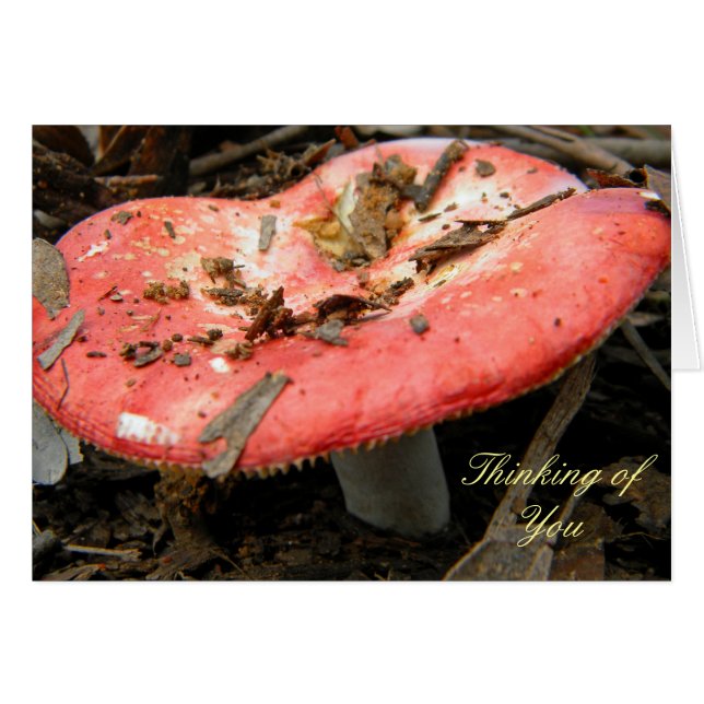 Carte cadeau Champignons rouges (Devant horizontal)