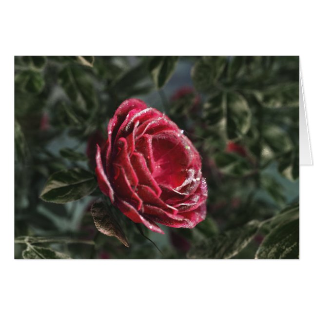 Carte cadeau de départ pour l'hiver (Devant horizontal)