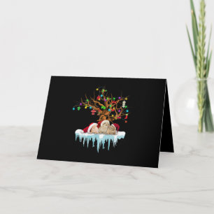 Carte Cadeau de lapin   Trois lapins vraiment adorables 
