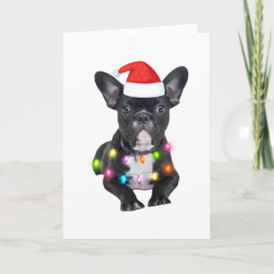 Carte cadeau de noël frenchies pour les amateurs de boul