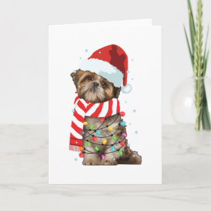 Carte Cadeau drôle de Noël pour amateur de chien Shitzu 