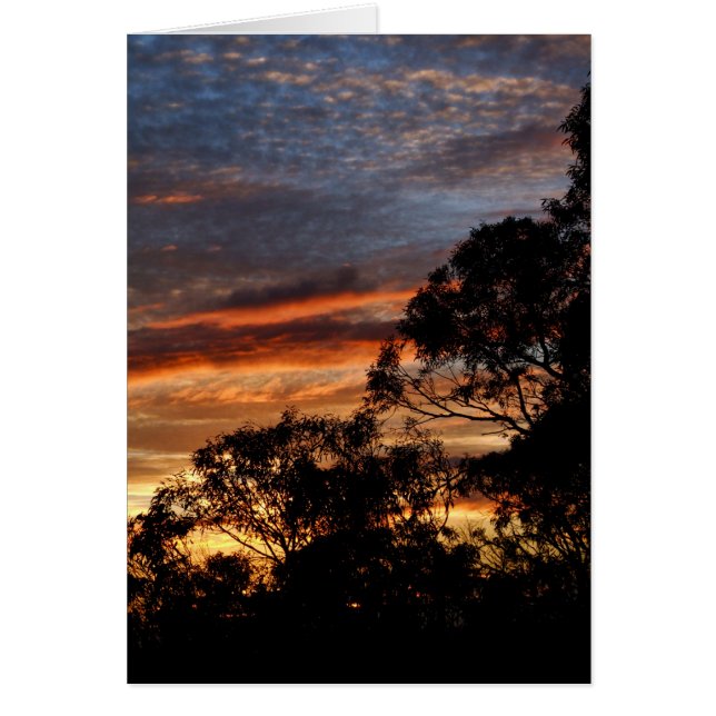 Carte cadeau Skyscape (Devant)