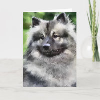 Cadeaux d'art de Keeshond