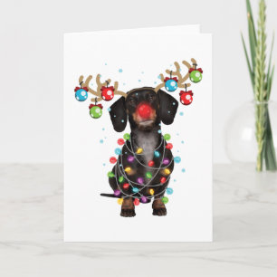 Carte Cadeaux drôles de Noël de chien de Dachshund migno