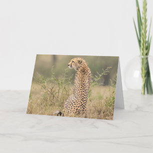 Carte Cadre naturel de Cheetah Personnaliser la signatur