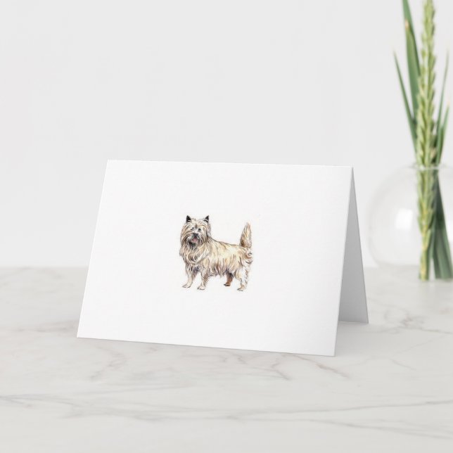 Carte Cairn Terrier (Devant)