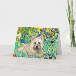 Carte Cairn Terrier 4 - Irises