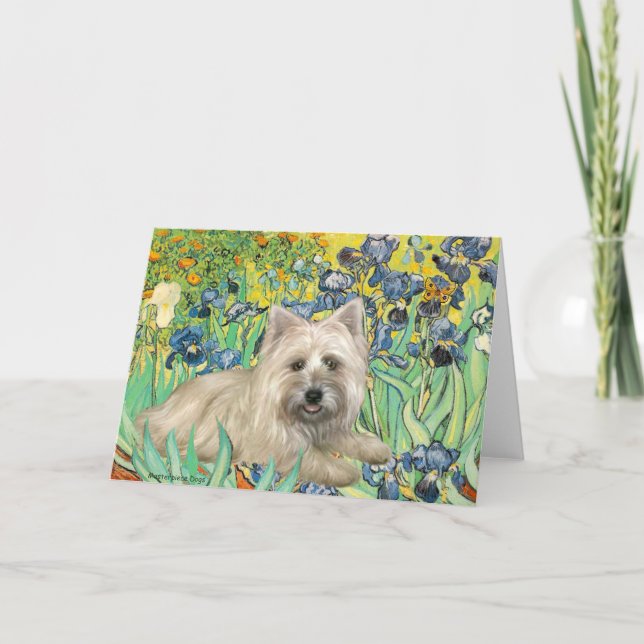 Carte Cairn Terrier 4 - Irises (Devant)
