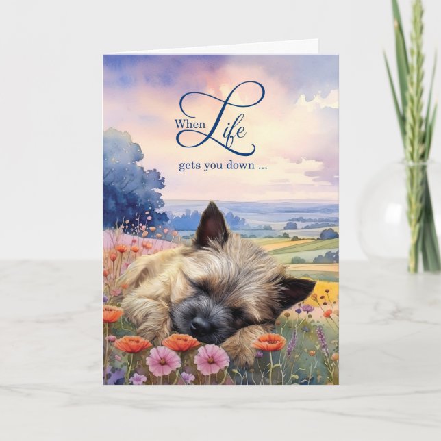 Carte Cairn Terrier de pierre de réconfort Prairie de fl (Devant)