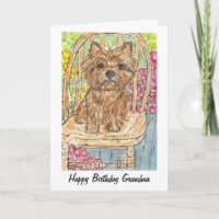 Cairn Terrier Joyeux Anniversaire Grandma Gran Car