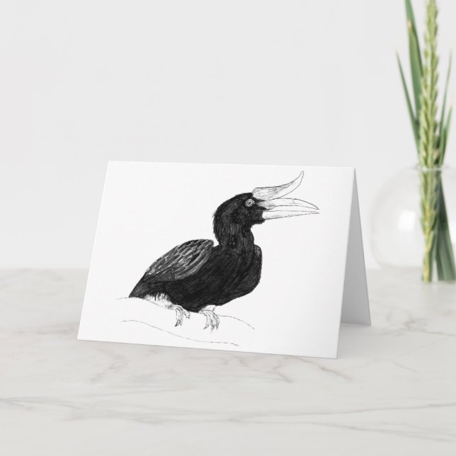 Carte Calao rhinocéros par Odin (Devant)