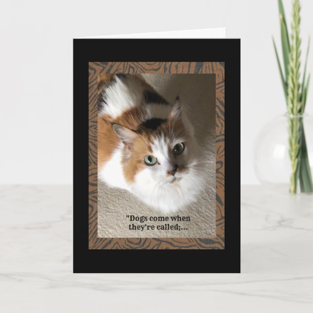 Carte Calico Cat avec humour (Devant)