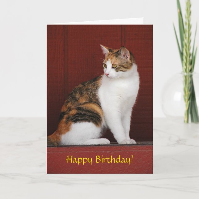 Carte Calico Cat Birthday Card (Devant)