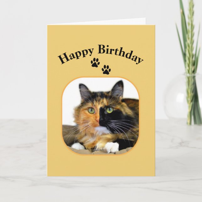 Carte Calico Cat Joyeux Anniversaire (Devant)