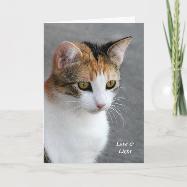 Carte Calico Cat Love & Light (Devant)