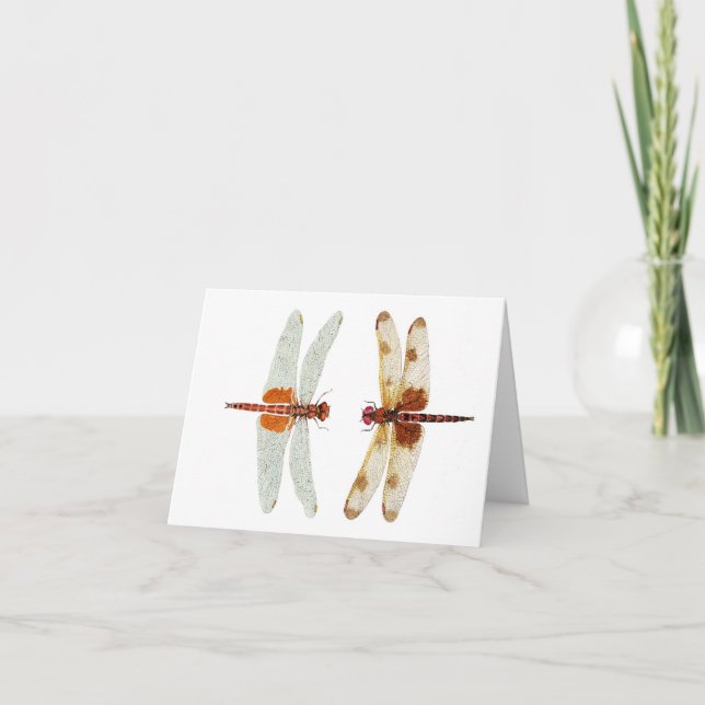 Carte Calico Pennant & Saddlebags Rouges (Devant)