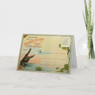 Carte California Alligators