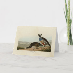 Carte California Partridge - Audubon's Birds of America
