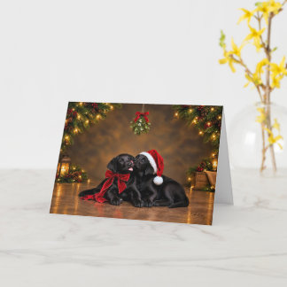 Carte Câlins de Noël