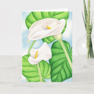 Carte Calla Lilis