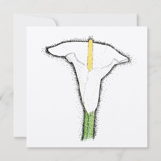 Carte Calla Lily (Devant)