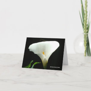 Carte Calla Lily en noir
