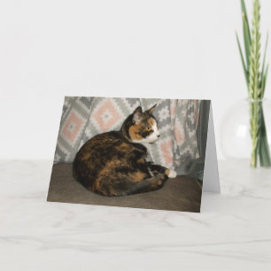 Carte Callie Cat sur le canapé