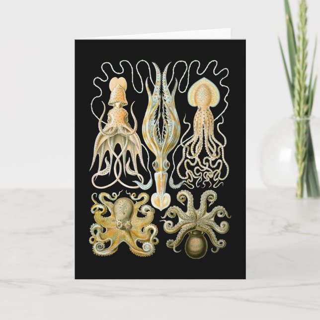 Carte Calmar et poulpe (Devant)