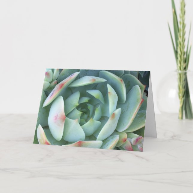 Carte Calme (Devant)