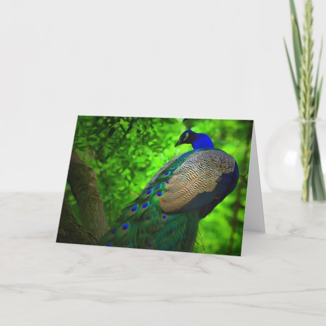 Carte calmer un arbre (Devant)