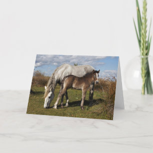 Carte Camargue Horse Foal with Mother