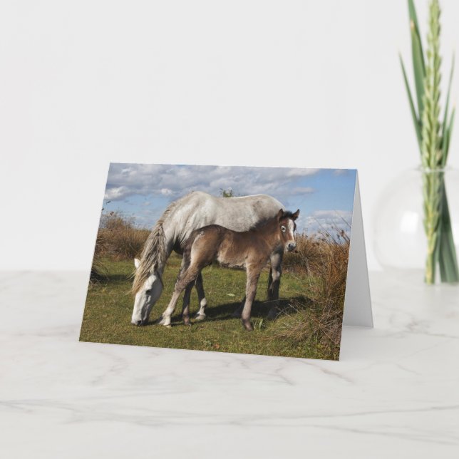Carte Camargue Horse Foal with Mother (Devant)