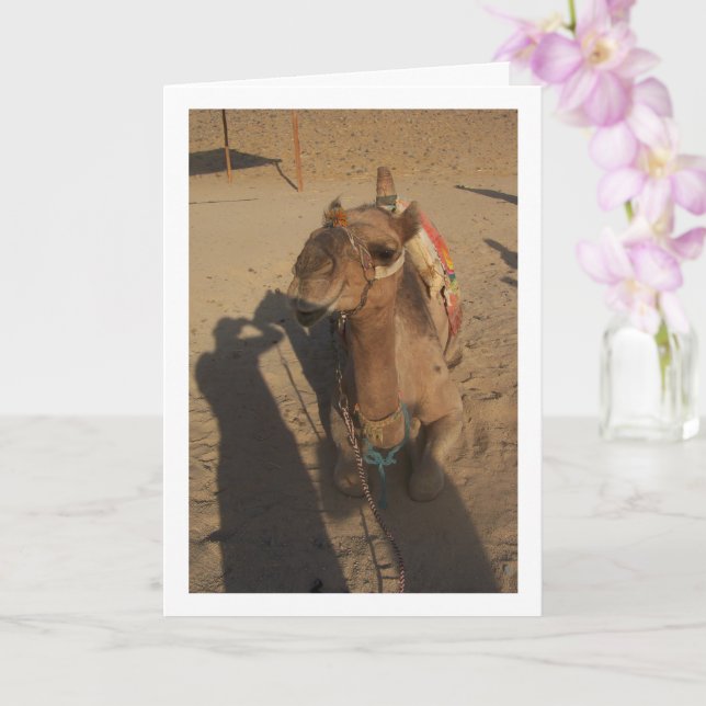 Carte Camel en photo (Orchidée)