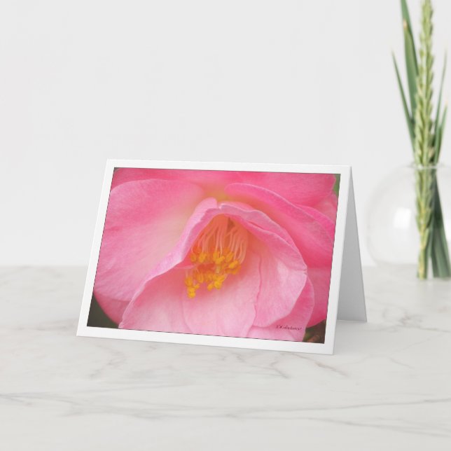 Carte Camelia rose doux (Devant)