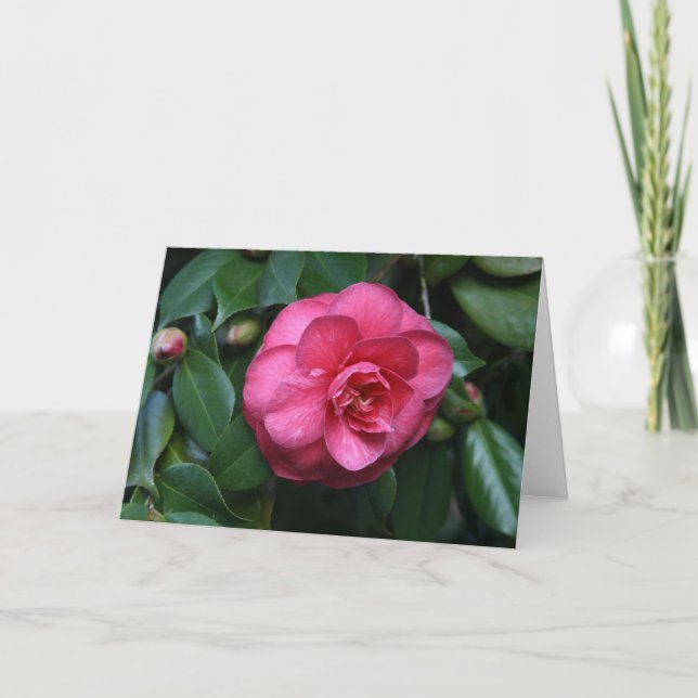 Carte "Camellia rose # 1" (Devant)