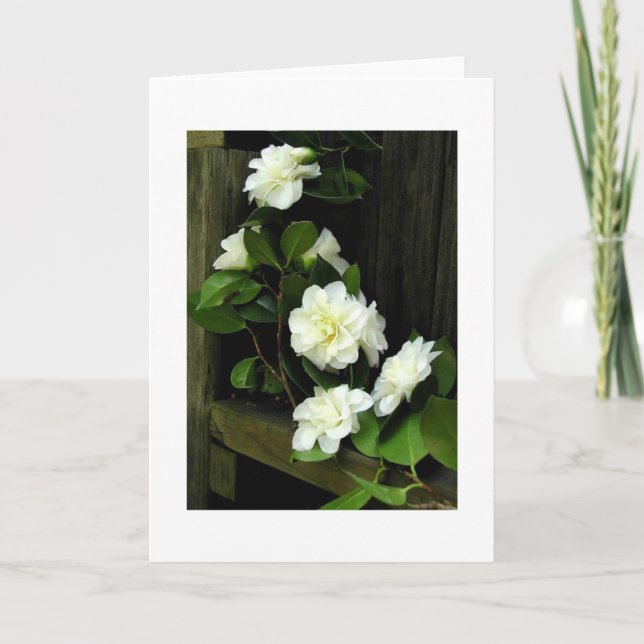 CARTE CAMELLIAS (Devant)