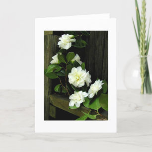 CARTE CAMELLIAS
