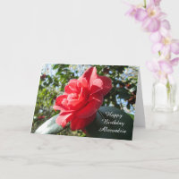 Camellie rouge rayonnante - Anniversaire personnal