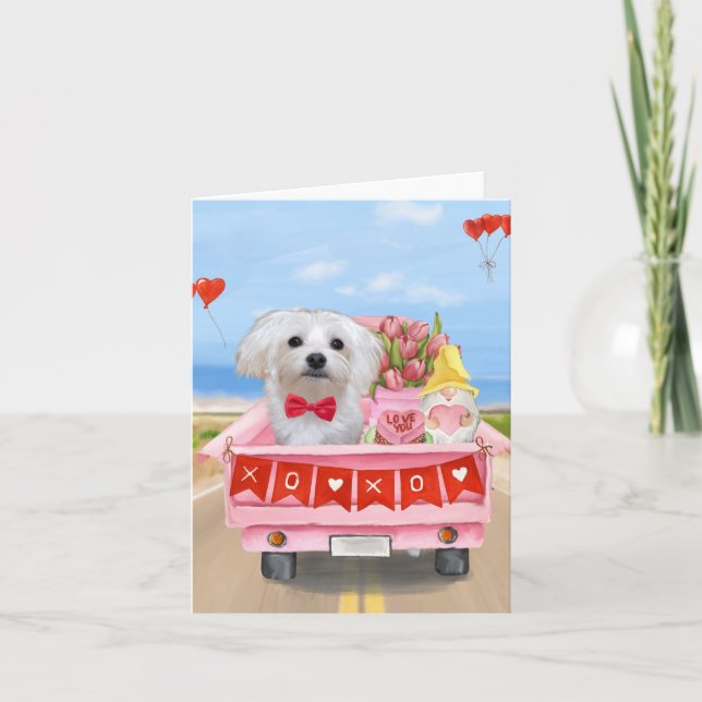 Carte Camionnette de la Saint-Valentin pour chien maltai (Devant)