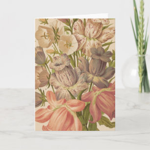 Carte Campanula   George Nicholson