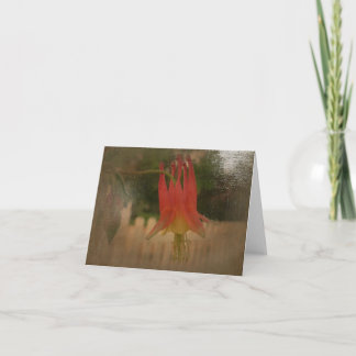 Carte CAN columbine A
