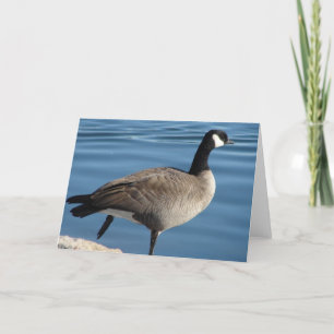 Carte Canada Goose