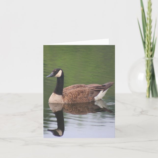 Carte Canada Goose Reflections Nature Note (Devant)