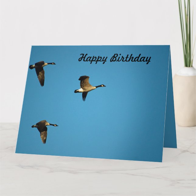 Carte Canadian geese (Devant)